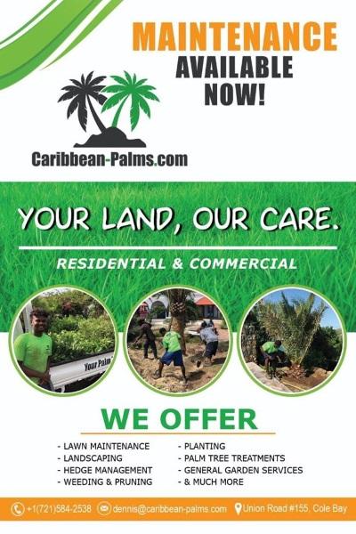 caribbean-palm-sxm